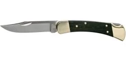 Buck 110 Folding Hunter
