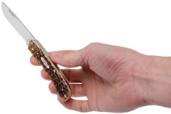 Case Sod Buster Jr Amber Jigged Bone, 00245, 6137 SS Couteau De Poche -Couteaux Promotion Boutique CE245 09 case ce245 09