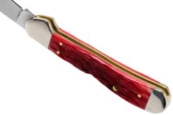 Case Copperhead Dark Red Bone, Peach Seed Jig, 31954, 61749L CV Couteau De Poche -Couteaux Promotion Boutique CE31954 05 case