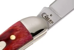 Case Small Texas Toothpick Pocket Worn Old Red Bone 00792 610096 SS Couteau -Couteaux Promotion Boutique CE792 05 case ce792 05