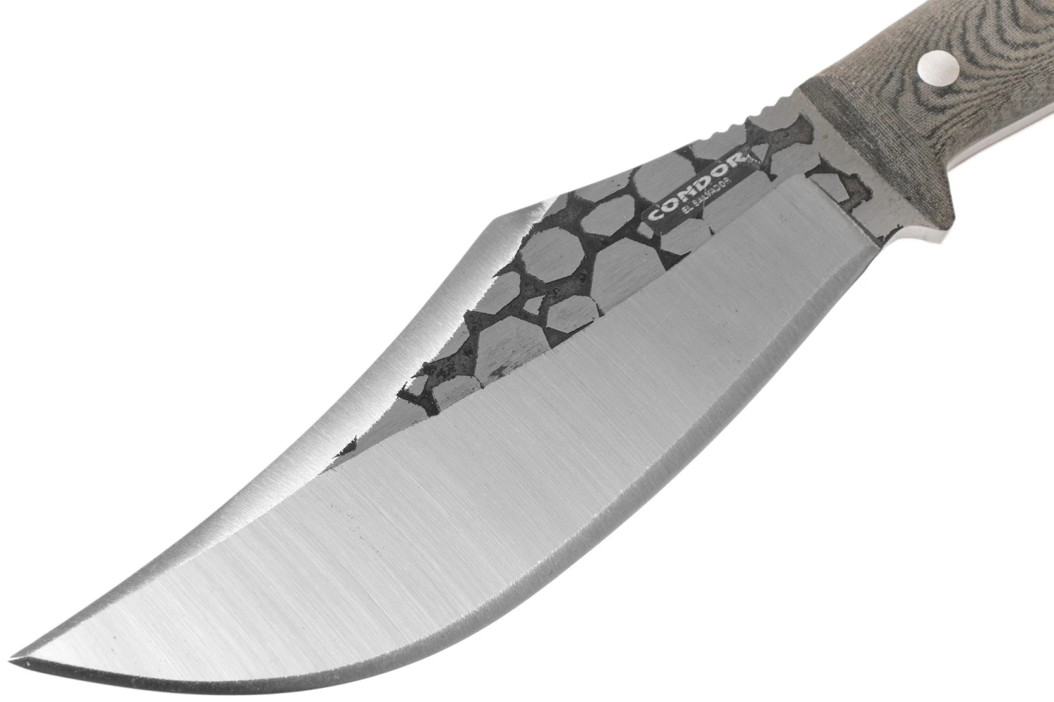 Condor Gryphus Bowie Knife CTK2015-6.75HC Couteau Fixe 62747 3 Condor Gryphus Bowie Knife CTK2015-6.75HC Couteau Fixe 62747 – Image 3