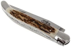 Forge De Laguiole 11cm Corne De Cerf 1211INCFBRI -Couteaux Promotion Boutique LA1211INCFBRI 03 forge de laguiole la1211incfbri 03